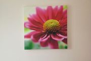 Canvas Picture