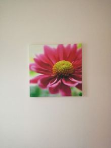 Canvas Picture