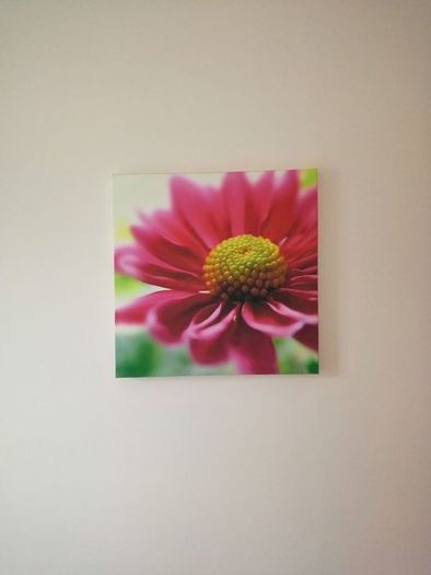 Canvas Picture