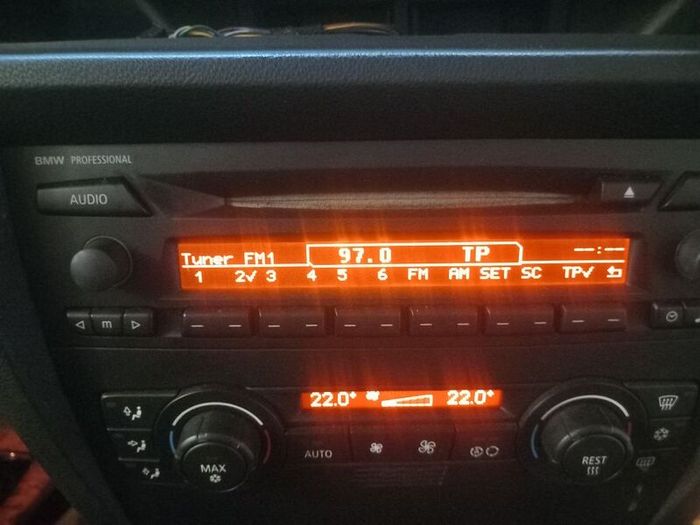 bmw professional radio