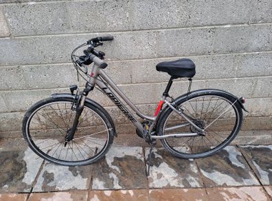 Adult bicycle