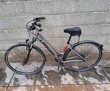 Adult bicycle