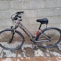 Adult bicycle