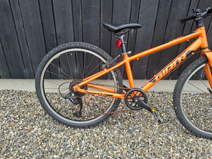 Giant ARX 24 inch kids bike