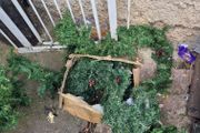 Christmas decoration