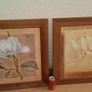 picture Image 2