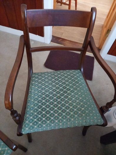 Dining Room Chairs x 6