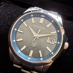 Citizen "The Citizen" AQ4091-56M