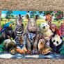 Play tive 3D Animal Jigsaw Puzzle - see 2 pics Image 2