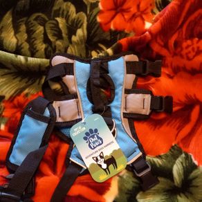 small harness
