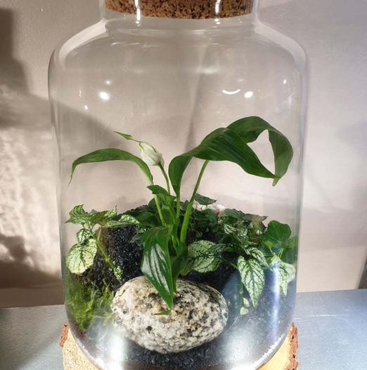 Lantern medium - white H32 x W20 cm