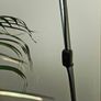 lamp Image 3