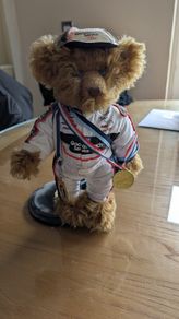 Franklin Mint Dale Earnhardt Intimidater Bear NASCAR