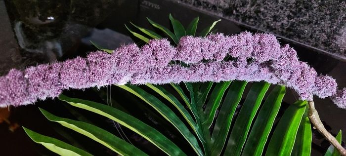 Beautiful Artificial Flower from Avoca NEW!