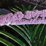Beautiful Artificial Flower from Avoca NEW! Image 6