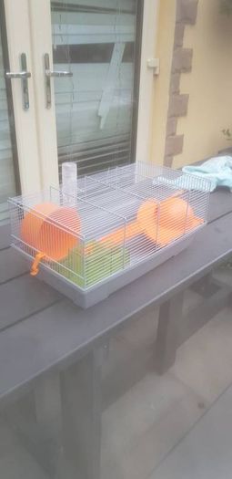 hamster cage