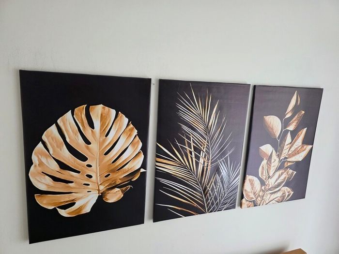 3 framed printed canvas 45x65cm