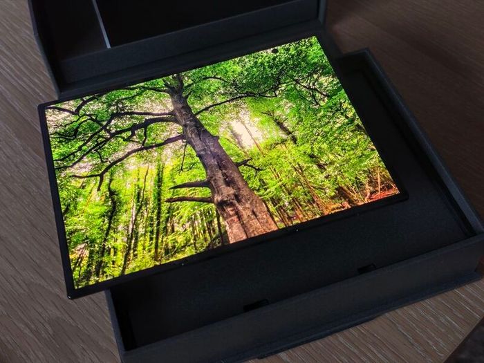Samsung Galaxy Z TriFold