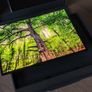 Samsung Galaxy Z TriFold Image 10