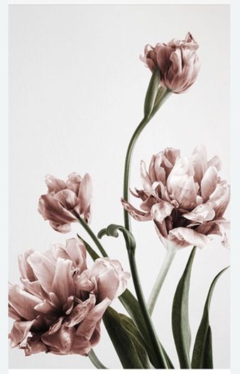 Desenio artwork print sets