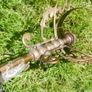 Antique Brass Ceiling Lamp 21" Image 10
