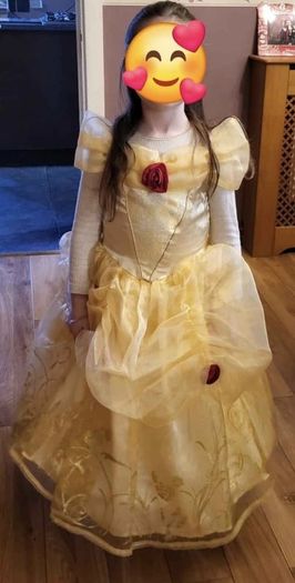 Beauty and the Beast costume.
