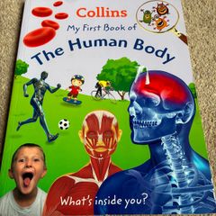 My first book of The human body by Collins