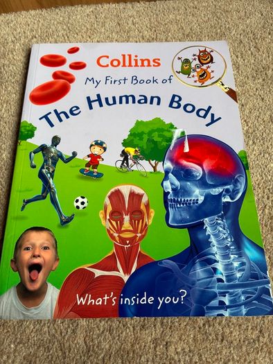 My first book of The human body by Collins