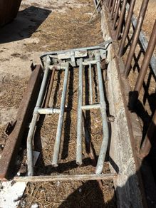 Cattle Head Gate