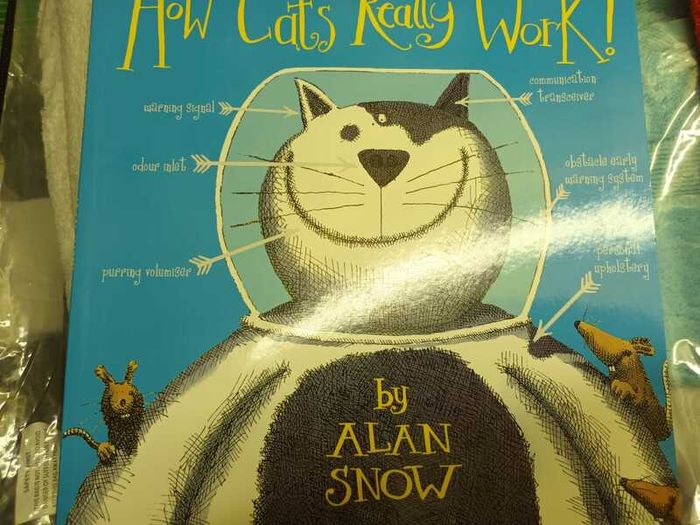 How Cats Really Work