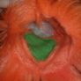 Puppet Company Orange Monster Image 5