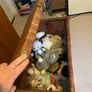 Wicker storage basket Image 4