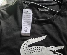 Lacoste mens t shirt