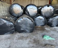 Silage
