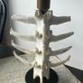 1 Bone Spooky Witch Halloween candle stick holders decoration Image 6