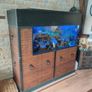 fish Image 6
