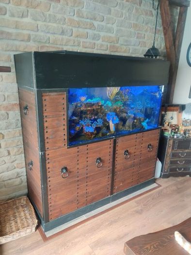 fish