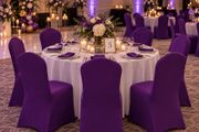 purple chair covers x66