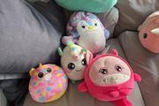 Squishmallow bundle