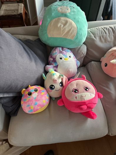 Squishmallow bundle