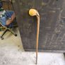 walking stick Image 2