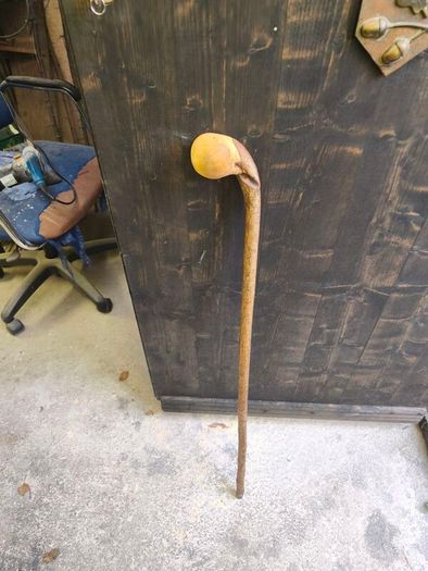 walking stick