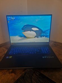 Acer Predator helios neo 18 RTX 4060