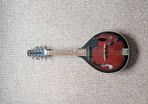 Mandolin