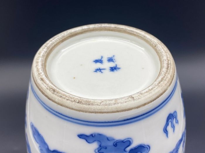 Chinese 19th Century Porcelain Vase Antique Blue & White