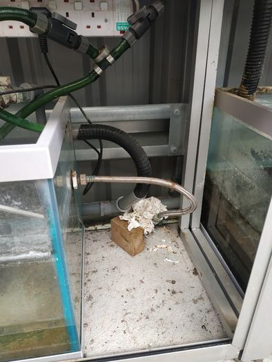 Fish shop cabinet with sump
