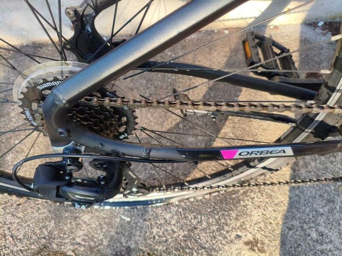 Orbea bike for sale (adult bike)