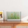 Glass Aquarium Image 2