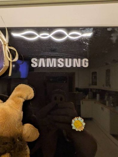 Samsung American fridge freezer