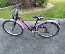 Girls Bicycle